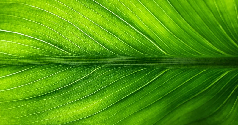 Comment vérifier qu'une offre est vraiment écotouristique ? Les certifications qui valent quelque chose