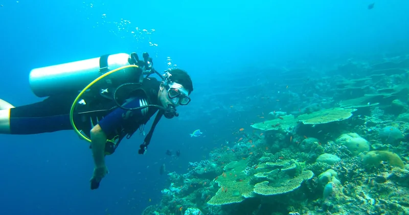 Débuter aux Maldives : ce qu'on ne vous dit pas sur les conditions réelles