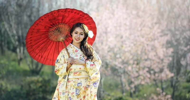 Kyoto, la tradition mise à l'épreuve du surtourisme